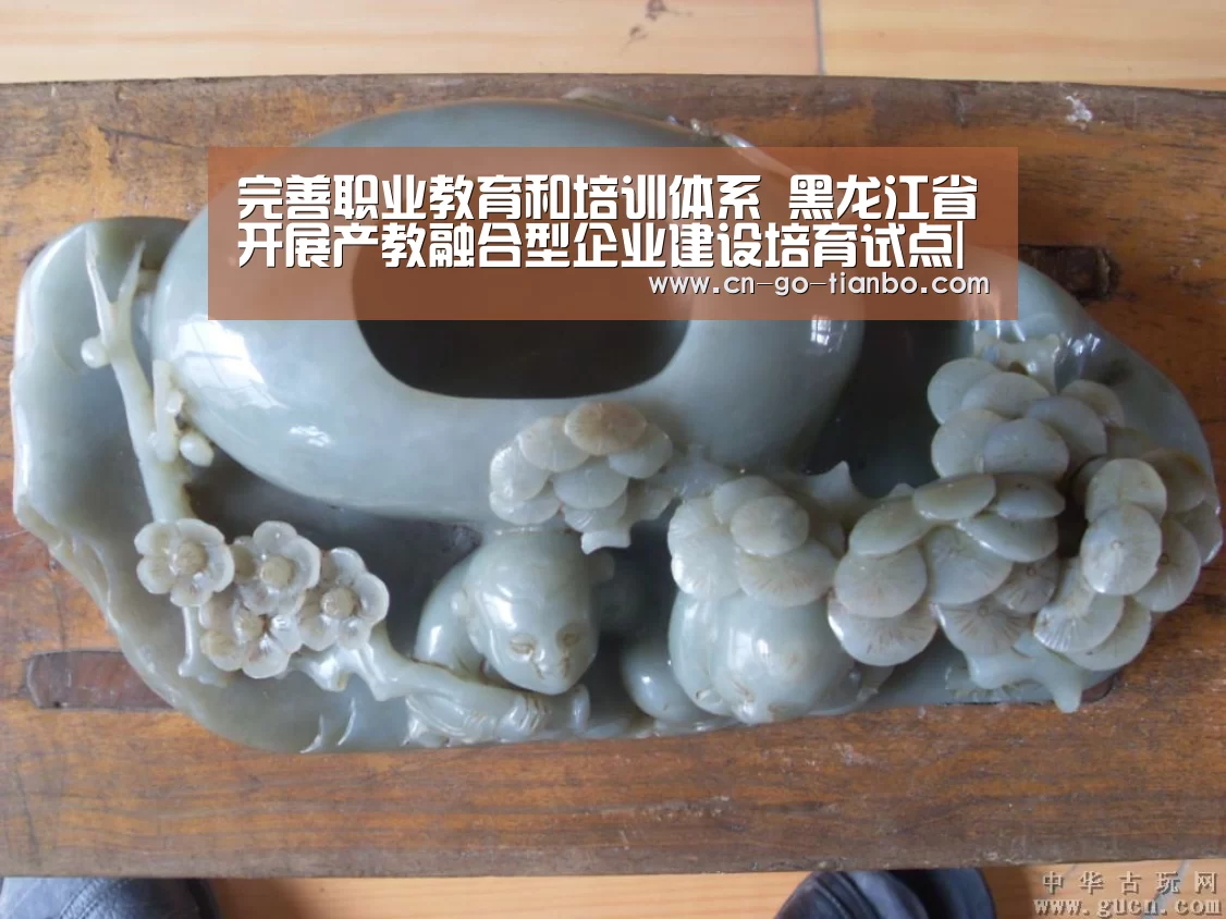 完善职业教育和培训体系　黑龙江省开展产教融合型企业建设培育试点|天博体育官网手机版