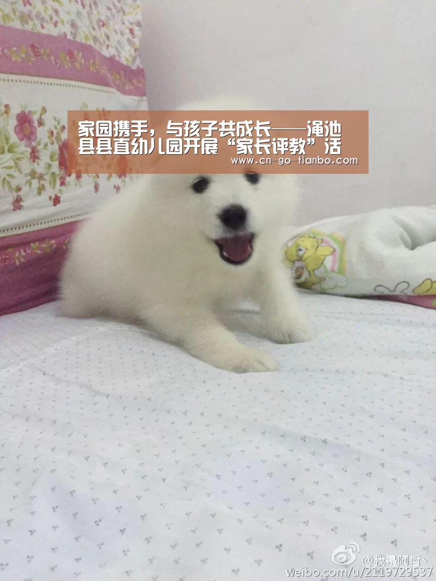 家园携手,与孩子共成长——渑池县县直幼儿园开展“家长评教”活动|天博体育app(图2) 天博体育官网手机版