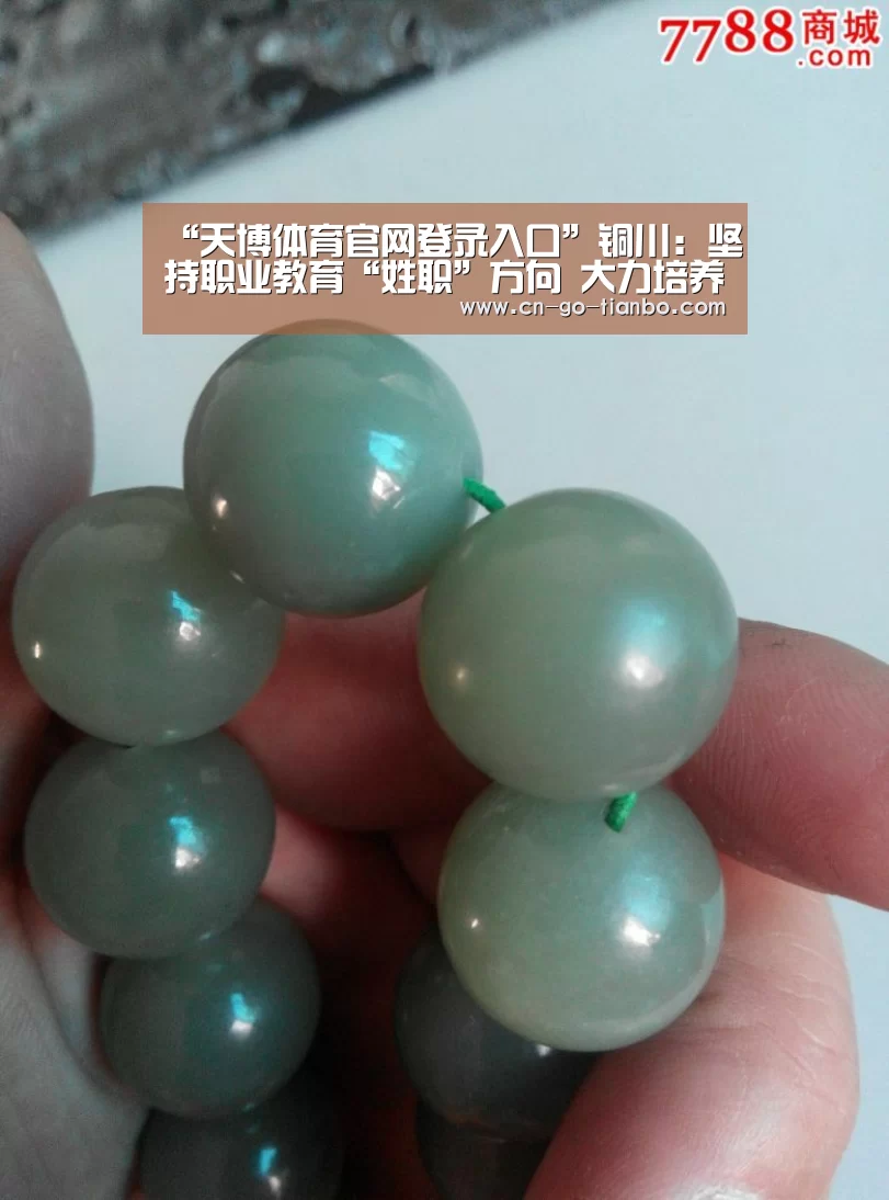 “天博体育官网登录入口”铜川:坚持职业教育“姓职”方向 大力培养中高端技术人才(图1) 天博体育手机版