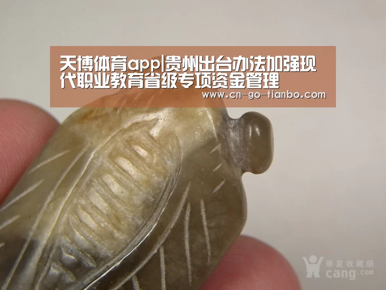 天博体育官网手机版