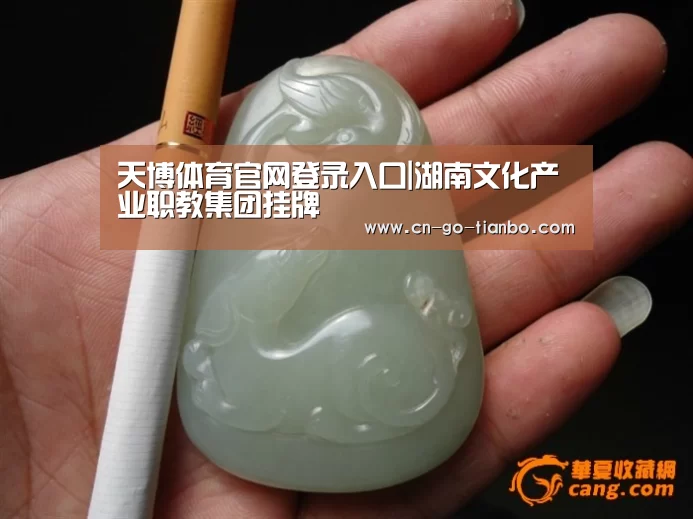 天博体育官网登录入口|湖南文化产业职教集团挂牌
