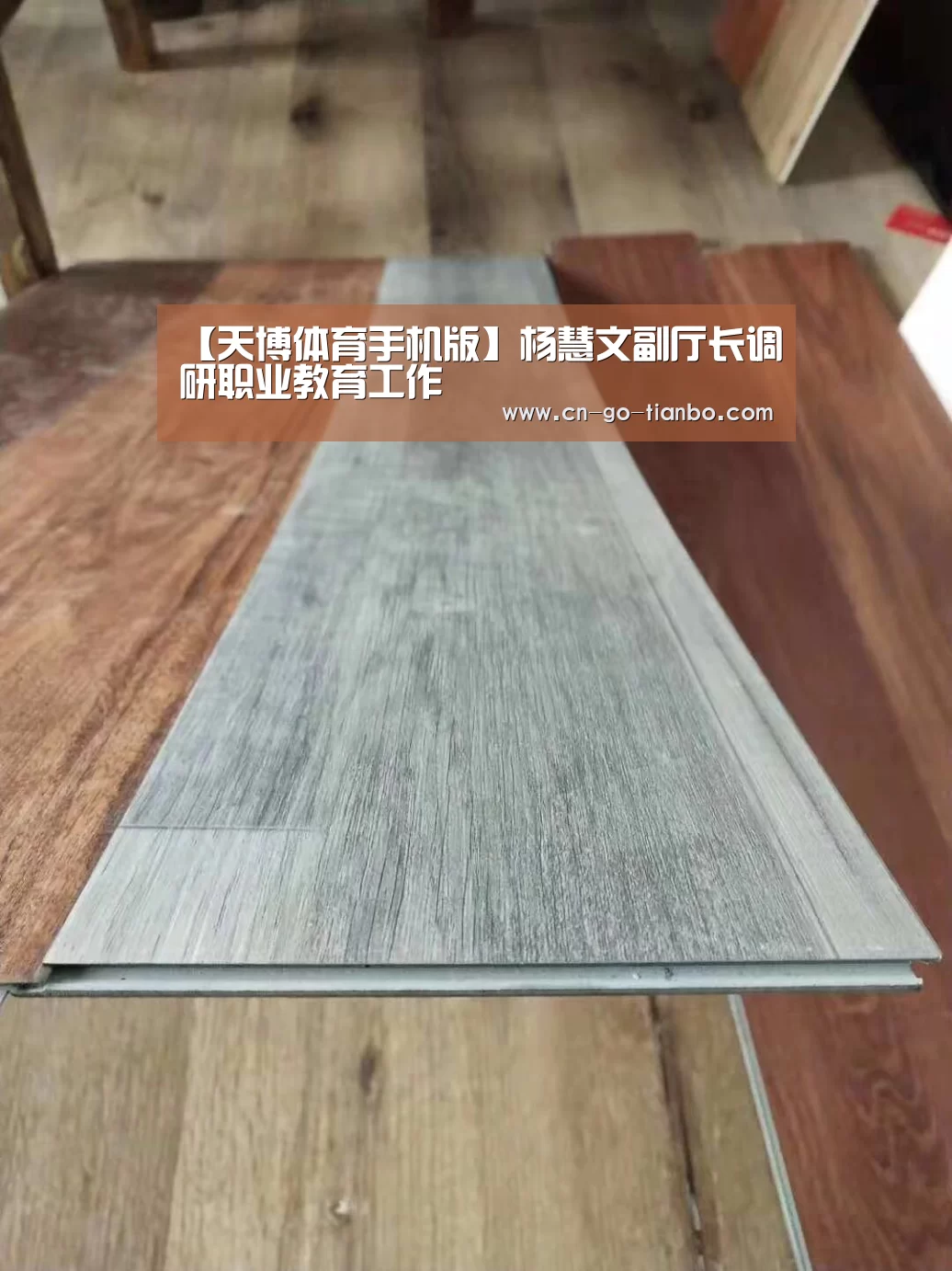 【天博体育手机版】杨慧文副厅长调研职业教育工作(图2) 天博体育官网手机版