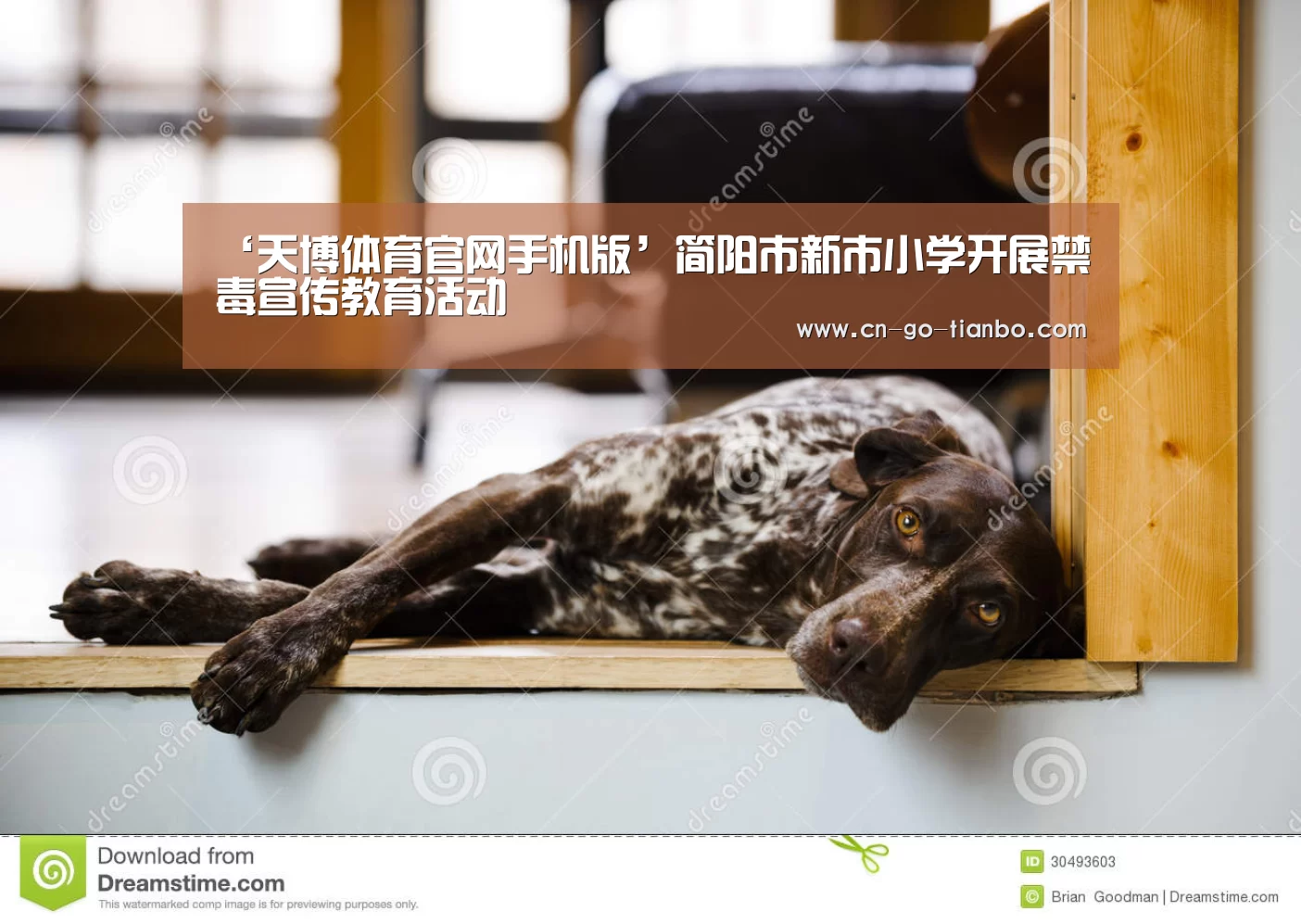 ‘天博体育官网手机版’简阳市新市小学开展禁毒宣传教育活动(图3) 天博体育官网登录入口
